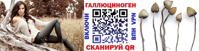даркнет сайт сайты даркнета Telegram Галлюциногенные грибы Psilocybe Южно-Сахалинск